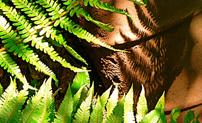 DDOS在线攻击平台